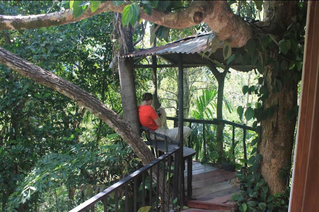 Pepper Garden Resort Ella Buitenkant foto